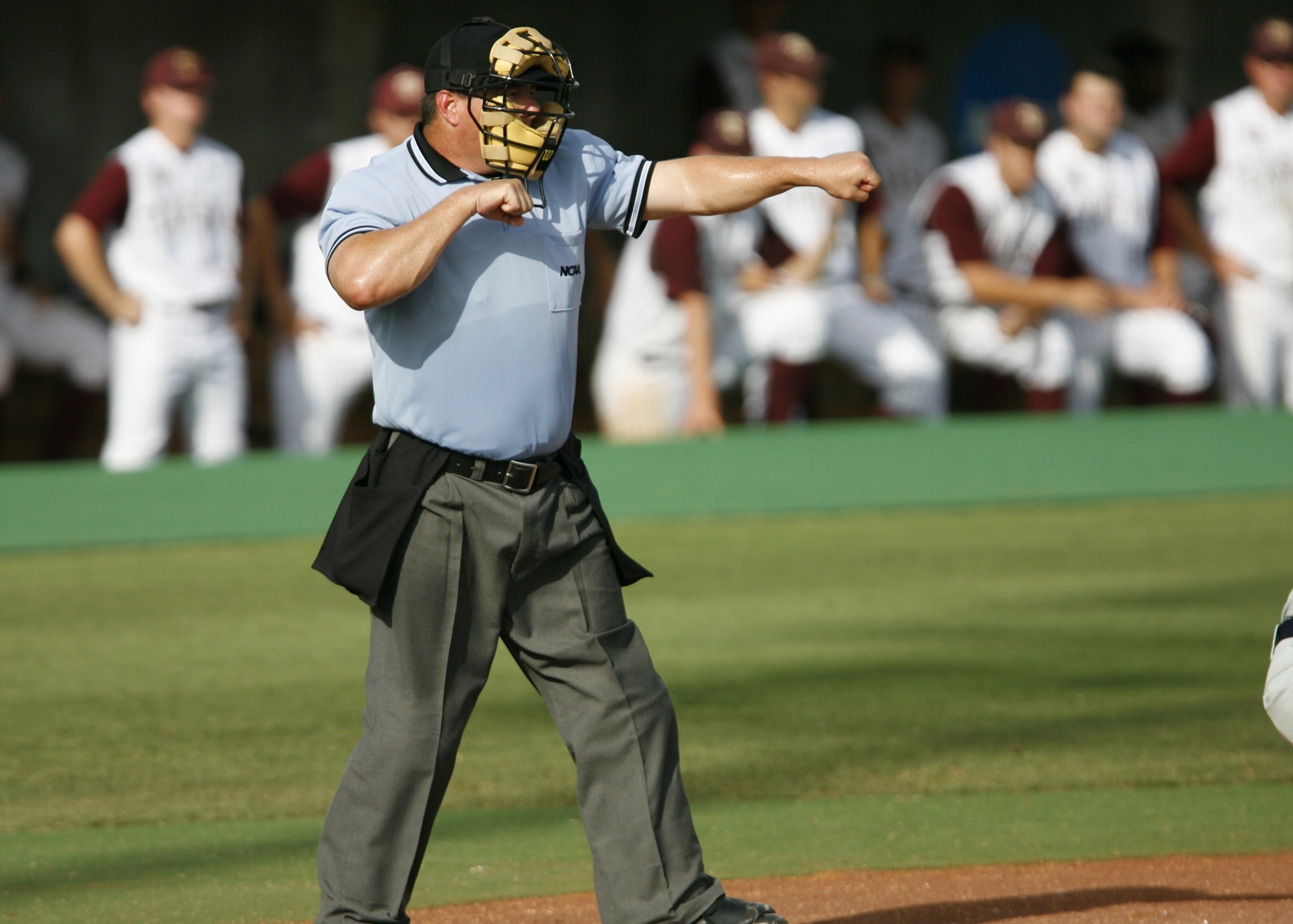Travel Baseball Rules Umpire